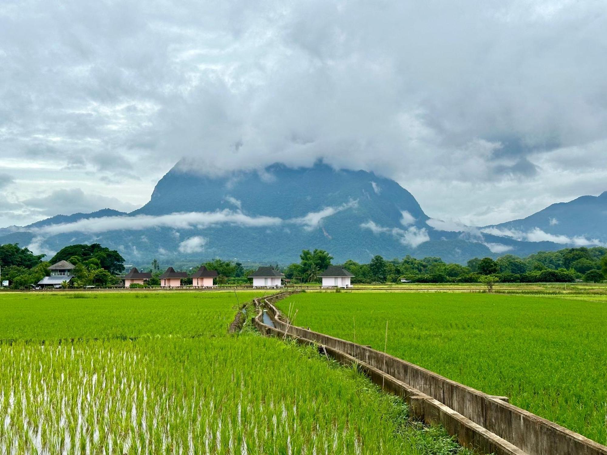 Baan Porhdoi Goidao Villa Chiang Dao Luaran gambar